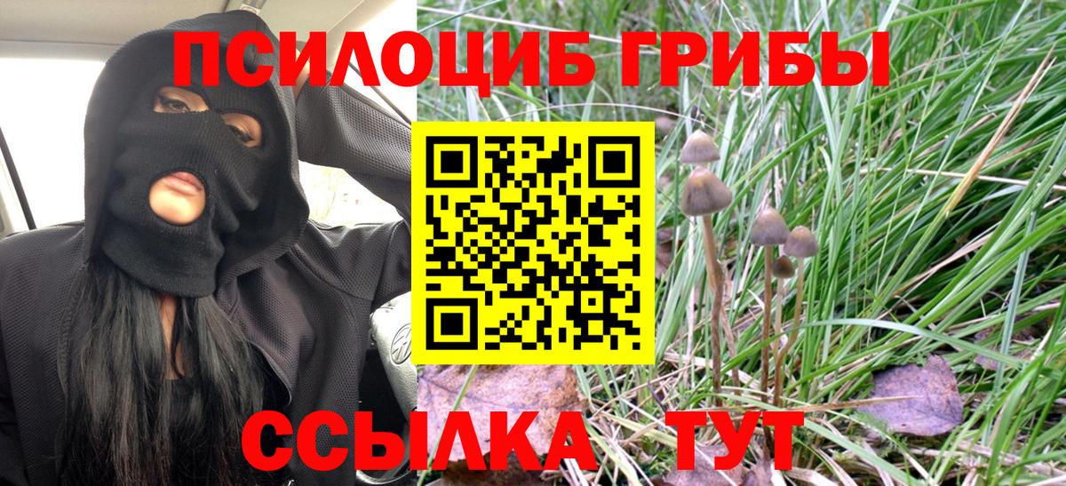 Галлюциногенные грибы прущие грибы Шадринск